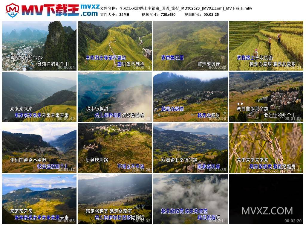 李双江-双脚踏上幸福路_国语_流行_MD302523